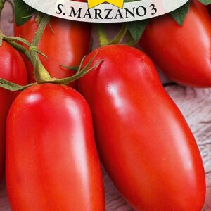 Nasiona Pomidor S. Marzano 3 0,5g Roltico pomidory na przetwory Nasiona Pomidor S. Marzano 3 0,5g Roltico pomidory na przetwory