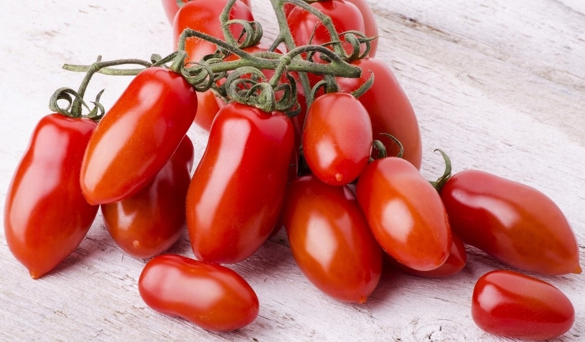 Nasiona Pomidor S. Marzano 3 0,5g Roltico pomidory na przetwory Nasiona Pomidor S. Marzano 3 0,5g Roltico pomidory na przetwory