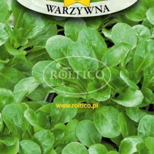 Nasiona Roszponki gruntowej Roltico 2 g Roszponka Warzywna Nasiona Roszponki gruntowej Roltico 2 g Roszponka Warzywna
