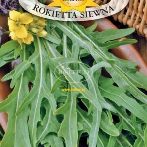 Nasiona RUKOLA jednoroczna 1g Roltico Rokietta siewna Nasiona RUKOLA jednoroczna 1g Roltico Rokietta siewna