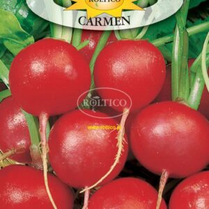 Nasiona Rzodkiewka Carmen 10 g Roltico rzodkiewki okrągłe Nasiona Rzodkiewka Carmen 10 g Roltico rzodkiewki okrągłe