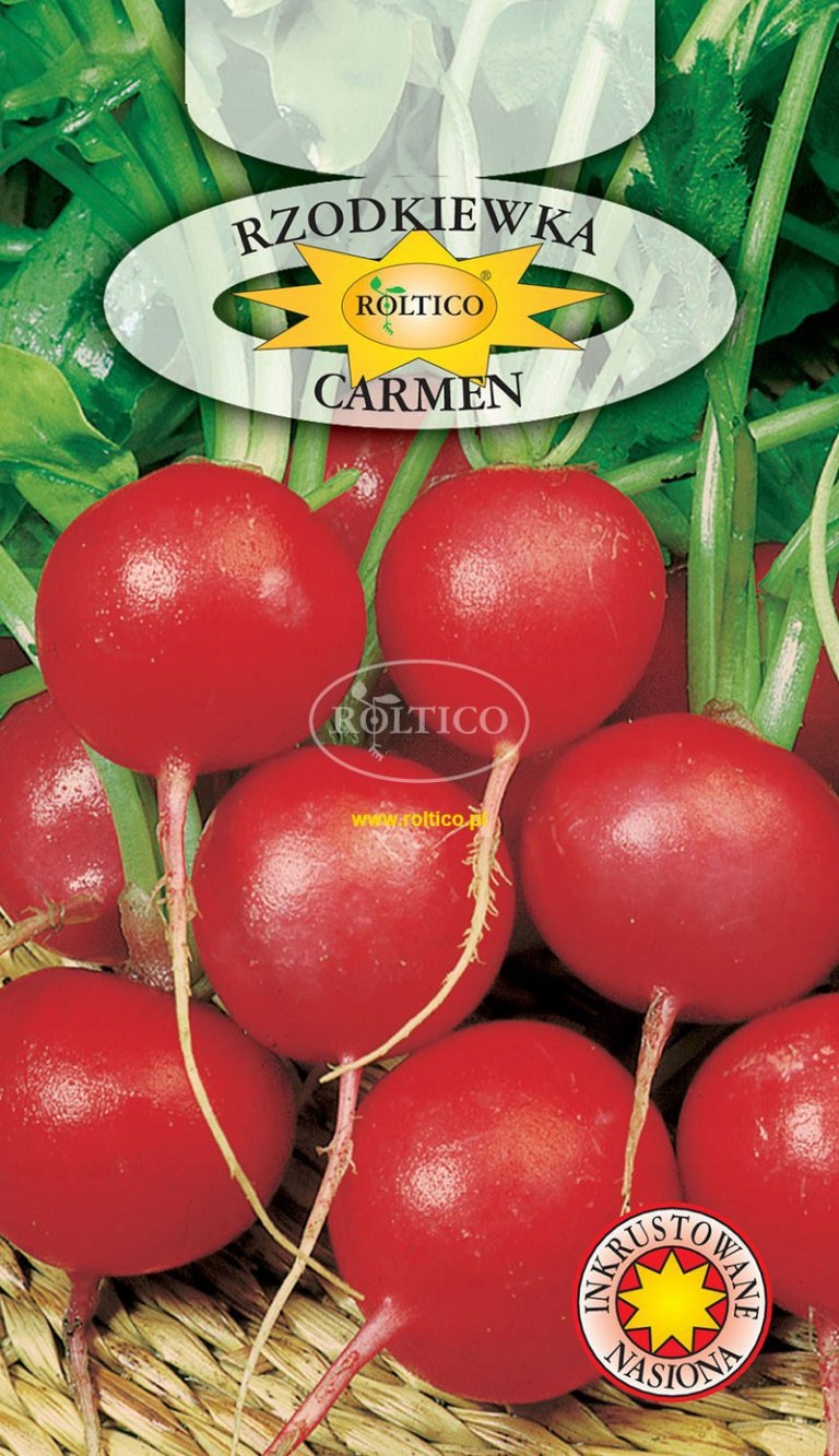 Nasiona Rzodkiewka Carmen 10 g Roltico rzodkiewki okrągłe Nasiona Rzodkiewka Carmen 10 g Roltico rzodkiewki okrągłe