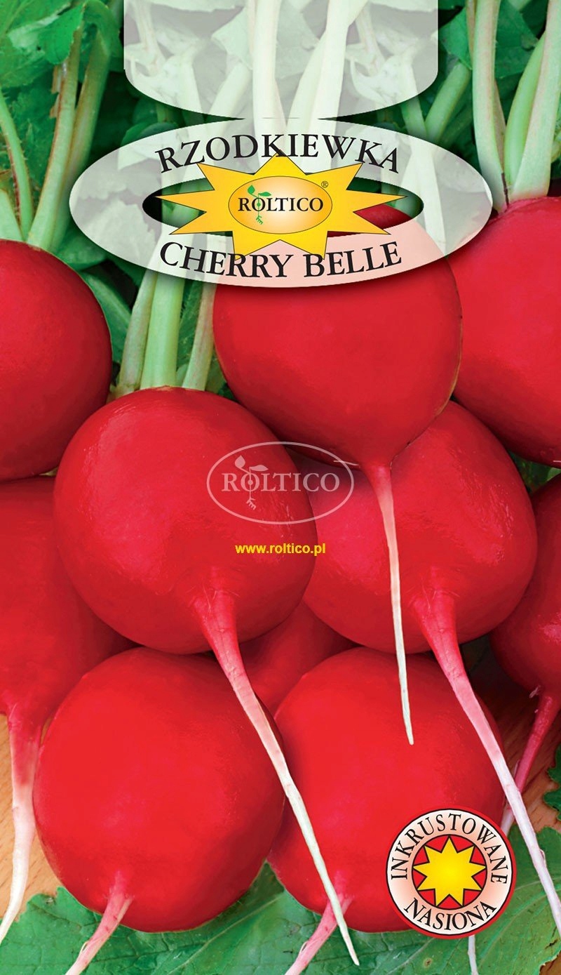 Nasiona Rzodkiewka CHERRY BELLE - 10g. ROLTICO rzodkiewki okrągłe Nasiona Rzodkiewka CHERRY BELLE - 10g. ROLTICO rzodkiewki okrągłe