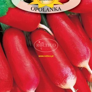 Nasiona Rzodkiewka Opolanka 10 g Roltico rzodkiewki podłużne Nasiona Rzodkiewka Opolanka 10 g Roltico rzodkiewki podłużne