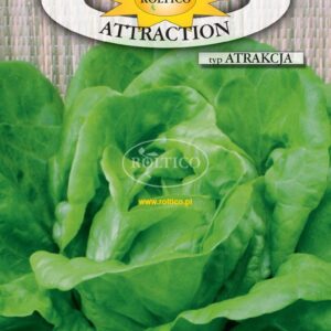 Nasiona Sałata głowiasta Attraction 1 g Roltico Nasiona Sałata głowiasta Attraction 1 g Roltico