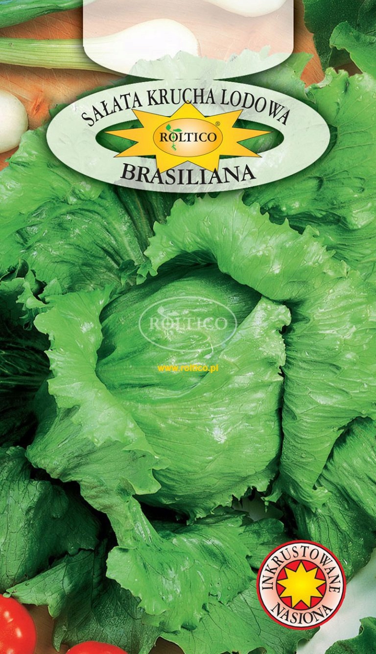 Nasiona Sałata Brasiliana 1 g Roltico sałata krucha lodowa Nasiona Sałata Brasiliana 1 g Roltico sałata krucha lodowa