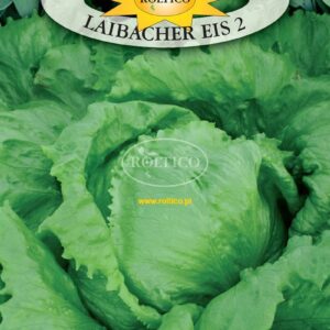 Nasiona Sałata lodowa Laibacher Eis 2 Roltico 1 g sałata krucha Nasiona Sałata lodowa Laibacher Eis 2 Roltico 1 g sałata krucha