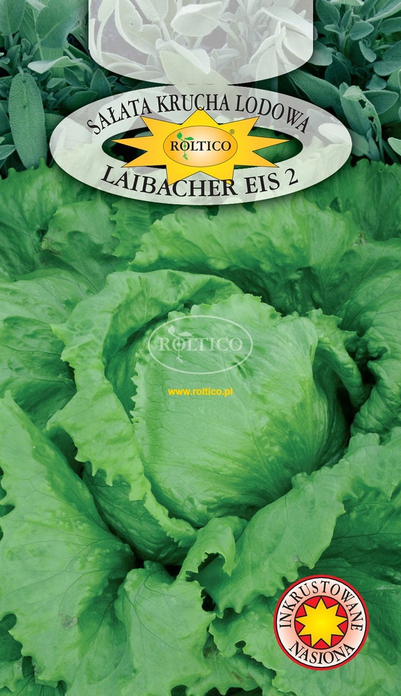 Nasiona Sałata lodowa Laibacher Eis 2 Roltico 1 g sałata krucha Nasiona Sałata lodowa Laibacher Eis 2 Roltico 1 g sałata krucha