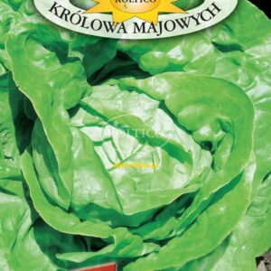 Nasiona Sałata Królowa majowych 1 g Roltico sałata masłowa Nasiona Sałata Królowa majowych 1 g Roltico sałata masłowa