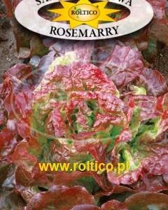 Nasiona Sałata Rosemary czerwono-zielona 1 g Roltico Nasiona Sałata Rosemary czerwono-zielona 1 g Roltico