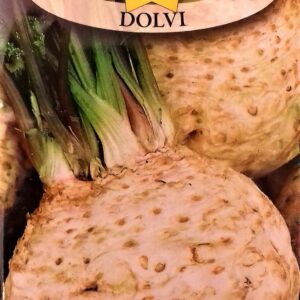 Nasiona Seler korzeniowy Dolvi 1 g Roltico średnio wczesny Nasiona Seler korzeniowy Dolvi 1 g Roltico średnio wczesny