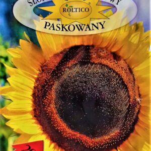Nasiona Słonecznik ogrodowy paskowany 10g Roltico nasiona słonecznika Nasiona Słonecznik ogrodowy paskowany 10g Roltico nasiona słonecznika