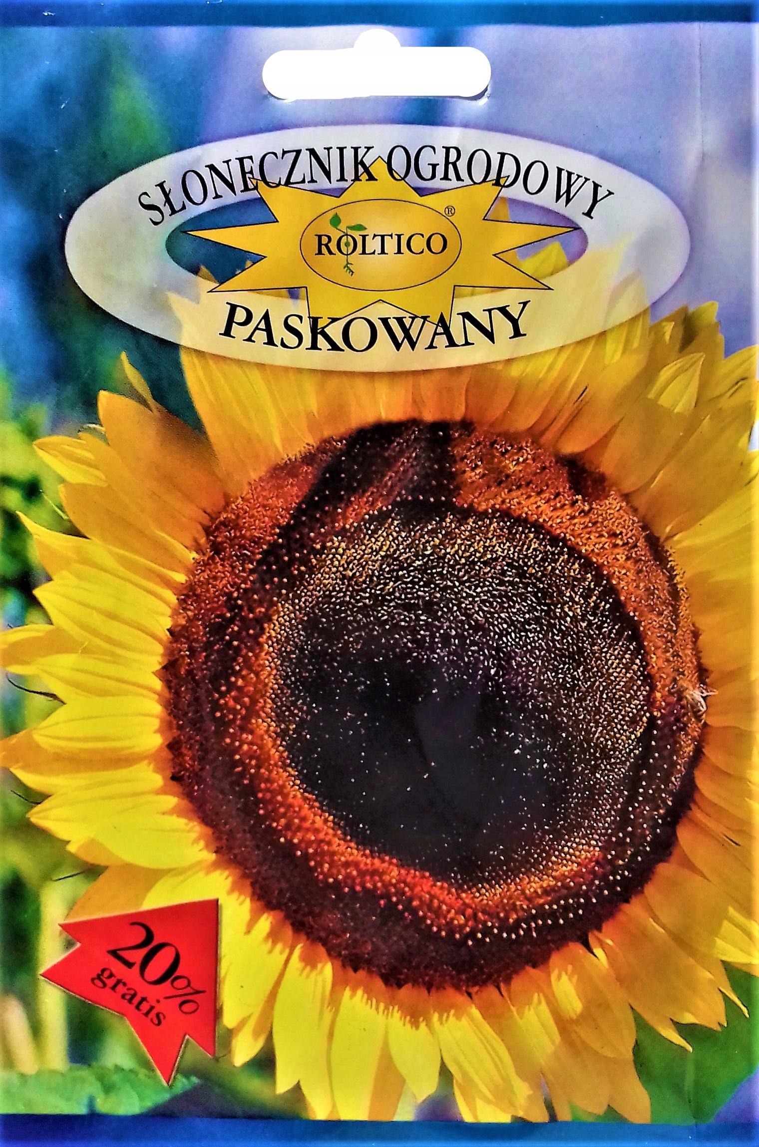 Nasiona Słonecznik ogrodowy paskowany 10g Roltico nasiona słonecznika Nasiona Słonecznik ogrodowy paskowany 10g Roltico nasiona słonecznika