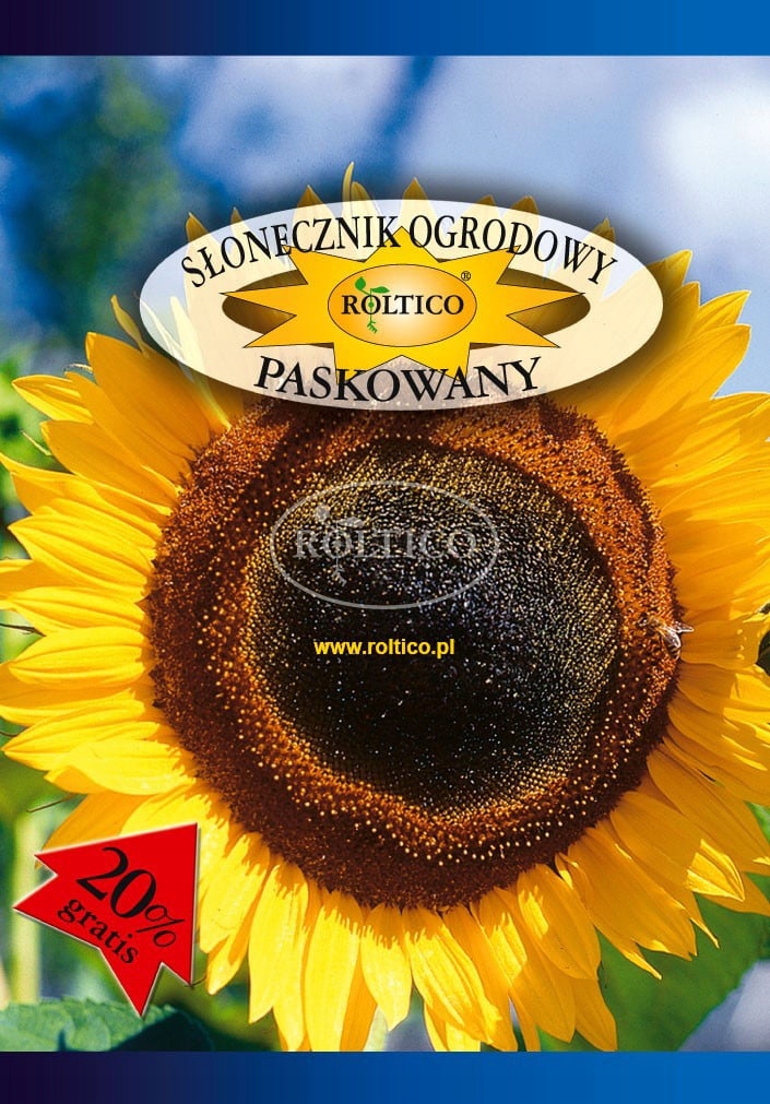 Nasiona Słonecznik ogrodowy paskowany 10g Roltico nasiona słonecznika Nasiona Słonecznik ogrodowy paskowany 10g Roltico nasiona słonecznika