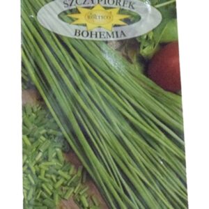 Nasiona Szczypiorek Bohemia 2 g Roltico szczypior wieloletni Nasiona Szczypiorek Bohemia 2 g Roltico szczypior wieloletni