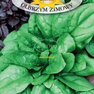 Nasiona Szpinak Olbrzym Zimowy 10 g Roltico Nasiona Szpinak Olbrzym Zimowy 10 g Roltico