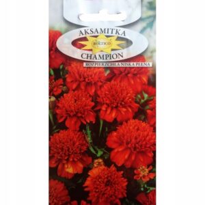 Nasiona aksamitki Champion 1 g Roltico