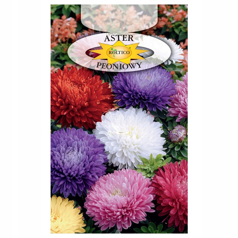 Nasiona KWIAT ASTER PEONIOWY MIX 1G ROLTICO Nasiona KWIAT ASTER PEONIOWY MIX 1G ROLTICO