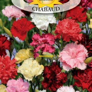 Nasiona Goździk Ogrodowy Chabaud 0,5 g Roltico Goździk Szabo mix kolorów Nasiona Goździk Ogrodowy Chabaud 0,5 g Roltico Goździk Szabo mix kolorów