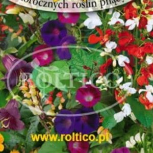 Nasiona mieszanka roślin Mieszanka Balkonowa 2 g Roltico Nasiona mieszanka roślin Mieszanka Balkonowa 2 g Roltico