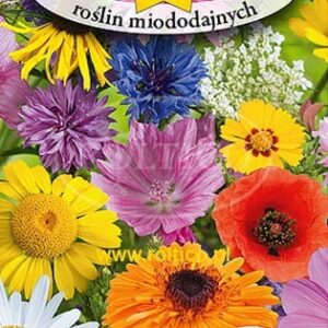 NASIONA KWIATY MIESZANKA ROŚLIN MIODODAJNYCH 2 g Roltico NASIONA KWIATY MIESZANKA ROŚLIN MIODODAJNYCH 2 g Roltico