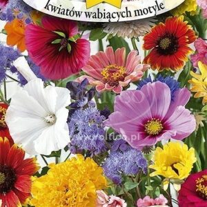 Nasiona Mieszanka roślin wabiących motyle 1g Roltico Nasiona Mieszanka roślin wabiących motyle 1g Roltico