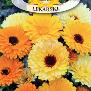 Nasiona NAGIETEK LEKARSKI nasiona 2 g ROLTICO leczniczy Nasiona NAGIETEK LEKARSKI nasiona 2 g ROLTICO leczniczy