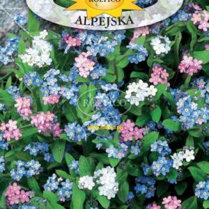 Nasiona Niezapominajka Alpejska Mieszana 0,5g Roltico Nasiona Niezapominajka Alpejska Mieszana 0,5g Roltico