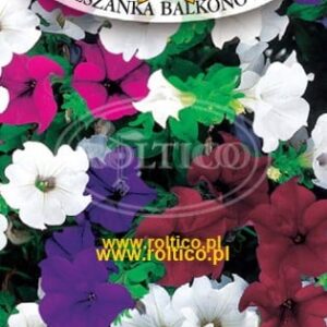 Nasiona Petunia Zwisająca Mieszanka Balkonowa 0,1g Roltico Nasiona Petunia Zwisająca Mieszanka Balkonowa 0,1g Roltico