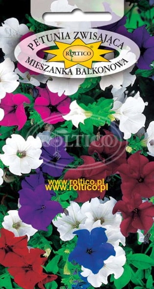Nasiona Petunia Zwisająca Mieszanka Balkonowa 0,1g Roltico Nasiona Petunia Zwisająca Mieszanka Balkonowa 0,1g Roltico