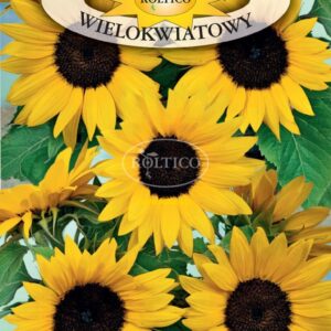 NASIONA SŁONECZNIK DONICZKOWY WIELOKWIATOWY 1 g Roltico NASIONA SŁONECZNIK DONICZKOWY WIELOKWIATOWY 1 g Roltico