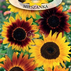Nasiona Słonecznik ozdobny Helianthus Wysoki pojedynczy Mix 2g Roltico Nasiona Słonecznik ozdobny Helianthus Wysoki pojedynczy Mix 2g Roltico