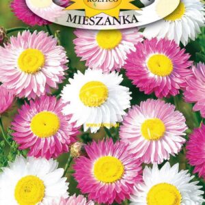 NASIONA KWIATY SUCHOŁUSKA MIESZANKA 1 g Roltico NASIONA KWIATY SUCHOŁUSKA MIESZANKA 1 g Roltico