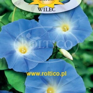 Nasiona wilec POWÓJ 2 g Wilec niebieski Roltico Nasiona wilec POWÓJ 2 g Wilec niebieski Roltico