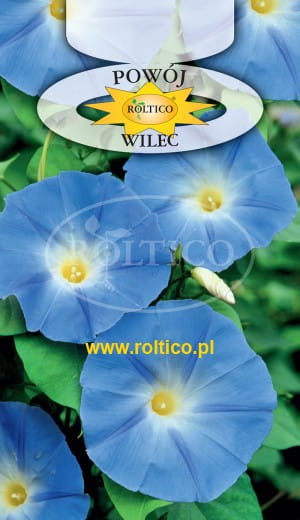 Nasiona wilec POWÓJ 2 g Wilec niebieski Roltico Nasiona wilec POWÓJ 2 g Wilec niebieski Roltico