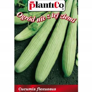 Nasiona Ogórek melonowy 3 g Plantico Nasiona Ogórek melonowy 3 g Plantico