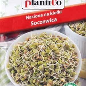 Nasiona SOCZEWICA NASIONA KIEŁKI WAPŃ FOSFOR ŻELAZO 30g Plantico Nasiona SOCZEWICA NASIONA KIEŁKI WAPŃ FOSFOR ŻELAZO 30g Plantico