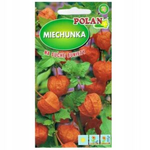 Nasiona Miechunka Pomarańczowa 0,5g Polan Nasiona Miechunka Pomarańczowa 0,5g Polan