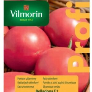 Nasiona Pomidor Belladona F1 Vilmorin 8 nasion Nasiona Pomidor Belladona F1 Vilmorin 8 nasion