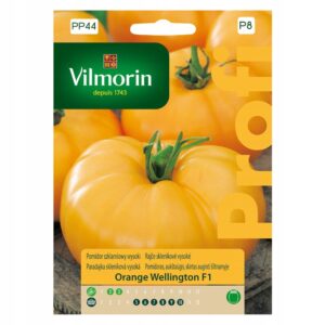Nasiona pomidora Orange Wellington F1 Vilmorin 0,1 g Nasiona pomidora Orange Wellington F1 Vilmorin 0,1 g