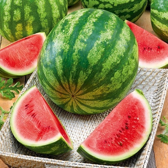 Nasiona Arbuz Crimson Giant F1 1g imponujące, soczyste owoce Premium Seeds Nasiona Arbuz Crimson Giant F1 1g imponujące, soczyste owoce Premium Seeds