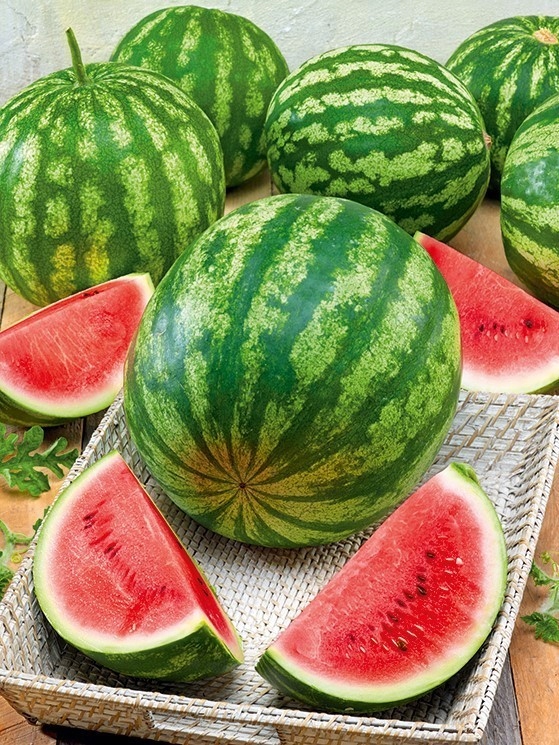 Nasiona Arbuz Crimson Giant F1 1g imponujące, soczyste owoce Premium Seeds Nasiona Arbuz Crimson Giant F1 1g imponujące, soczyste owoce Premium Seeds