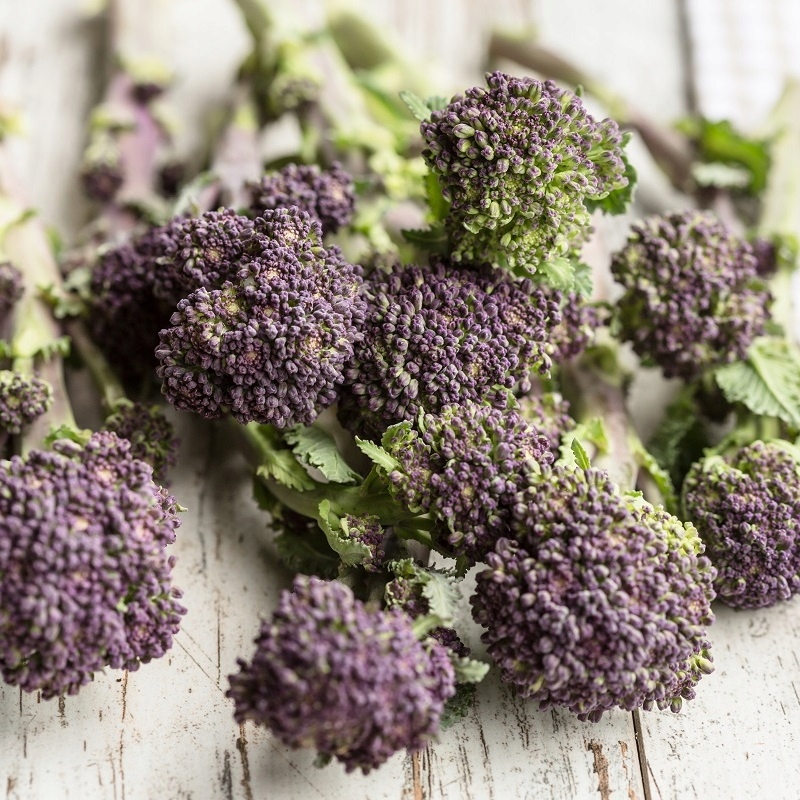 Nasiona Brokuł Early Purple Sprouting 2g do siewu wiosennego Premium Seeds Nasiona Brokuł Early Purple Sprouting 2g do siewu wiosennego Premium Seeds