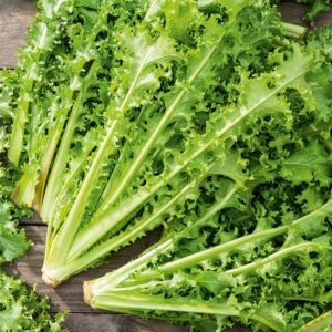 Nasiona Endywia Romanesca Da Taglio 0,2g DO UPRAWY 2 x W ROKU Premium Seeds Nasiona Endywia Romanesca Da Taglio 0,2g DO UPRAWY 2 x W ROKU Premium Seeds