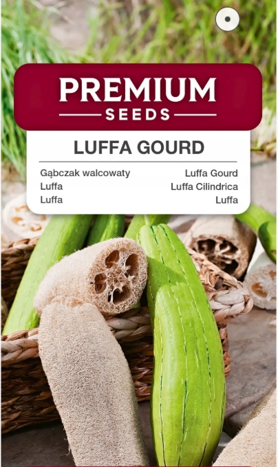 Nasiona Gąbczak walcowaty 1g Premium Seeds Nasiona Gąbczak walcowaty 1g Premium Seeds