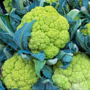 Nasiona Kalafior Verde di Macerata 0,2g na zbiór jesienny Premium Seeds Nasiona Kalafior Verde di Macerata 0,2g na zbiór jesienny Premium Seeds
