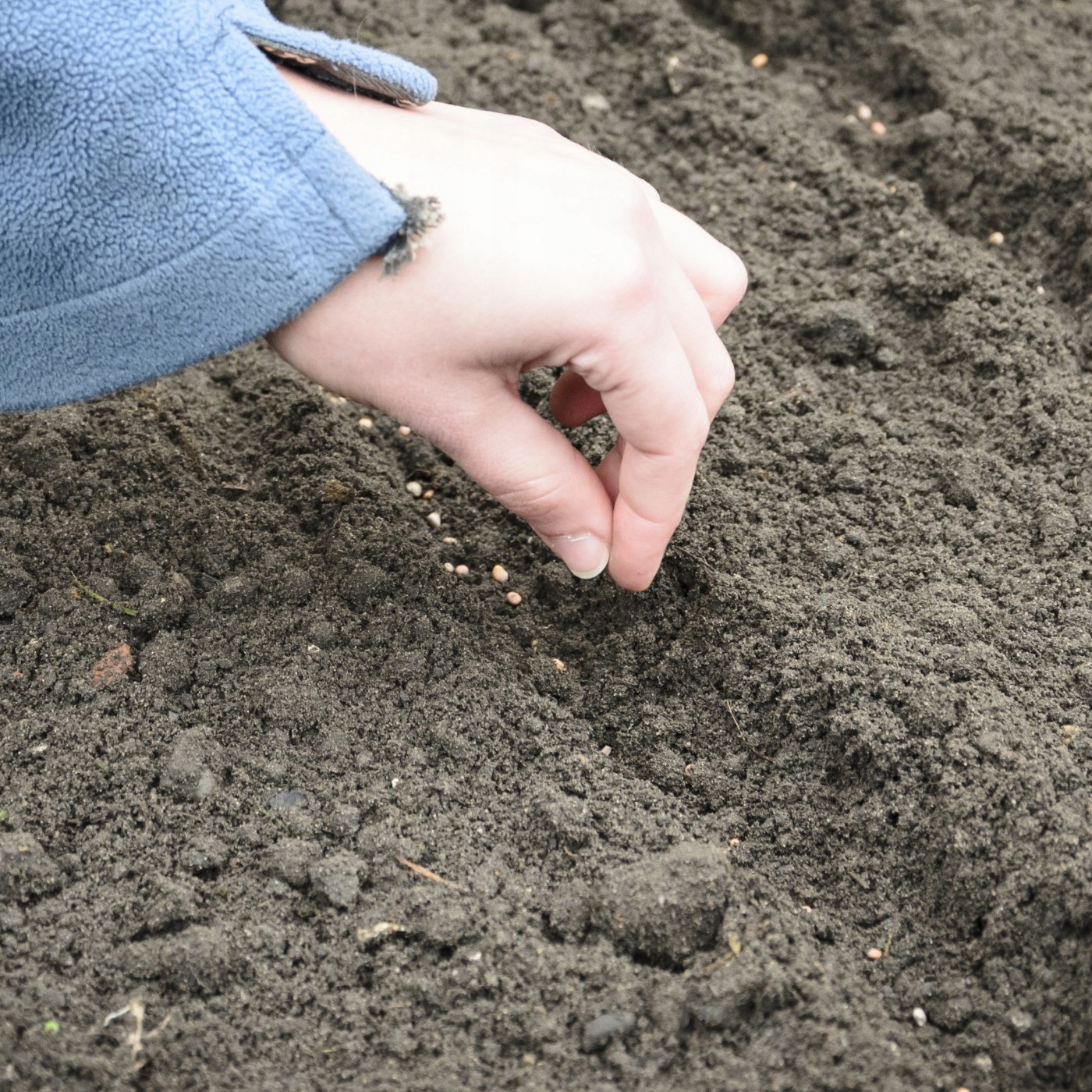 18272434513