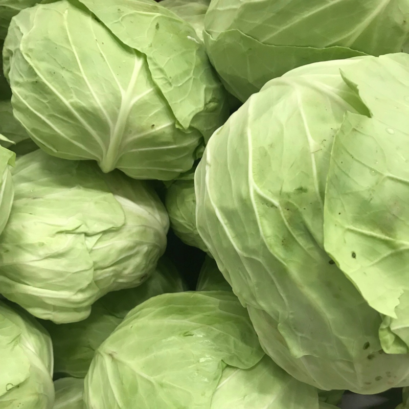 Nasiona Kapusta Zora 2g 60 dni do zbioru Premium Seeds Nasiona Kapusta Zora 2g 60 dni do zbioru Premium Seeds