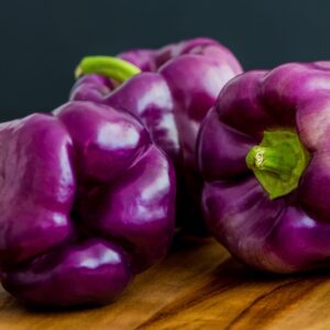 Nasiona Papryka Oda 0,4g fioletowa słodka, odporna na choroby Premium Seeds Nasiona Papryka Oda 0,4g fioletowa słodka, odporna na choroby Premium Seeds