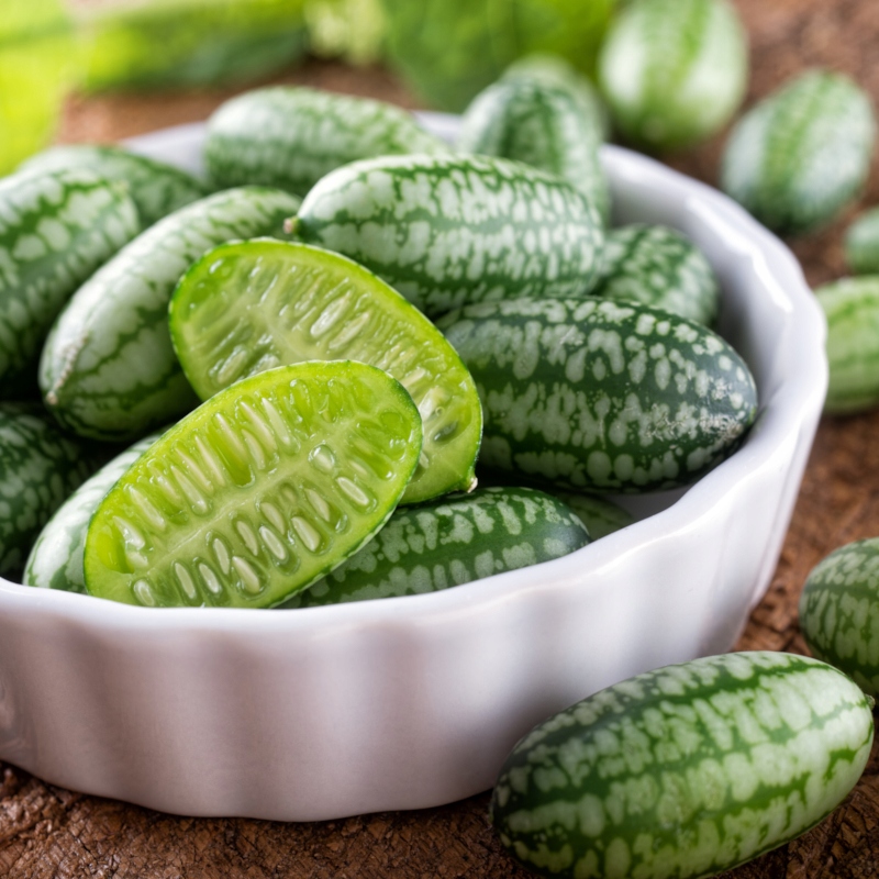 Nasiona Ogórek ozdobny meksykański 0,05g mini arbuzy, Premium Seeds Nasiona Ogórek ozdobny meksykański 0,05g mini arbuzy, Premium Seeds